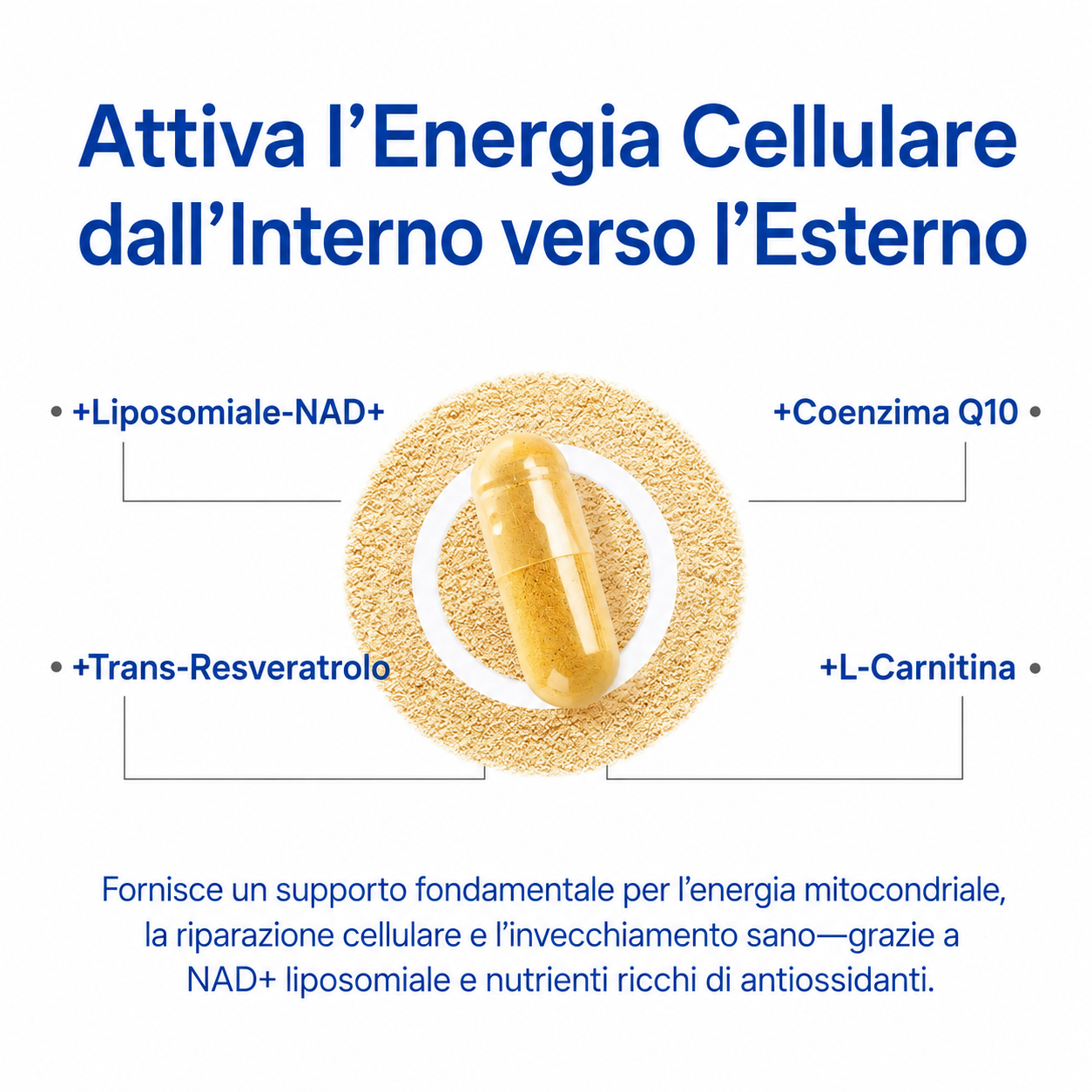 Liposomal NAD+ for Men
