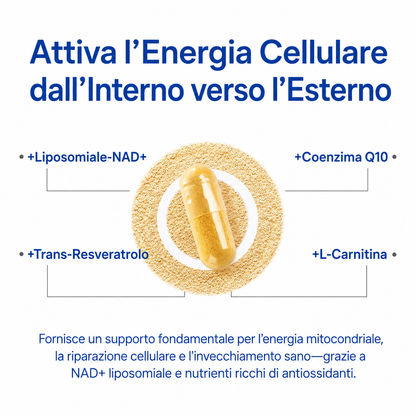 Liposomal NAD+ for Men