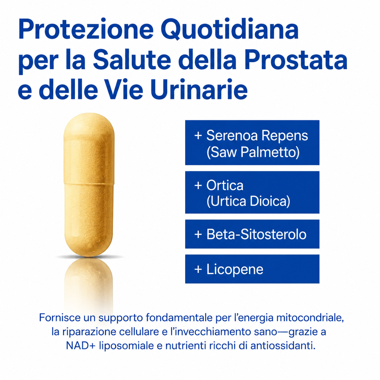 Liposomal NAD+ for Men